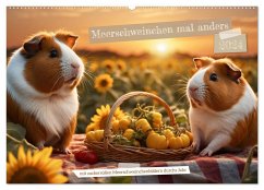 Meerschweinchen mal anders! (Wandkalender 2024 DIN A2 quer), CALVENDO Monatskalender - Calvendo;Spiegler, Heidi