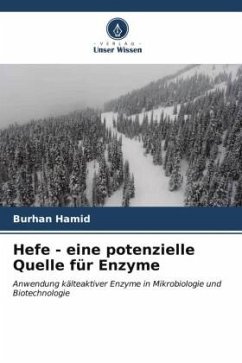 Hefe - eine potenzielle Quelle für Enzyme - Hamid, Burhan