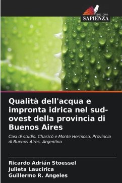 Qualità dell'acqua e impronta idrica nel sud-ovest della provincia di Buenos Aires - Stoessel, Ricardo Adrián;Laucirica, Julieta;Angeles, Guillermo R.