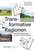 Transformative Regionen (eBook, PDF)