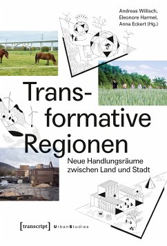 Transformative Regionen (eBook, PDF)