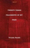 TWENTY THREE FRAGMENTS OF MY YEAR