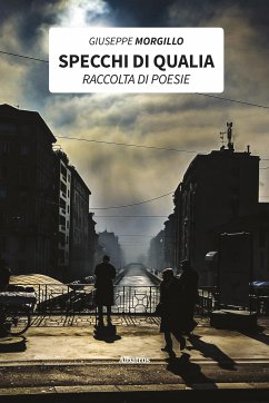 Specchi di Qualia (eBook, ePUB) - Morgillo, Giuseppe