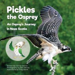 Pickles the Osprey - Dennis, Connie