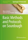 Basic Methods and Protocols on Sourdough