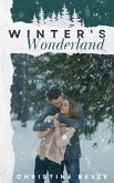 Winter's Wonderland (eBook, ePUB)