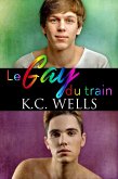 Le gay du train (eBook, ePUB)