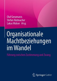 Organisationale Machtbeziehungen im Wandel (eBook, PDF)