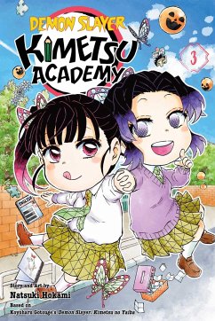 Demon Slayer: Kimetsu Academy, Vol. 3 - Hokami, Natsuki