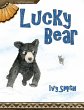 Lucky Bear - Bild 1
