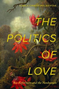 The Politics of Love - Hustak, Carla Christina