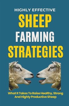 Highly Effective Sheep Farming Strategies - B, Rachael