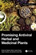 Promising Antiviral Herbal and... - Bild 1