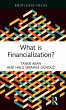 What is Financialization? - Bild 1