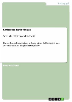 Soziale Netzwerkarbeit (eBook, PDF) - Roth-Fingas, Katharina