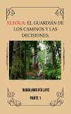 Elegua: El Guardian de los caminos y las decisiones. (eBook, ePUB)