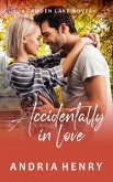 Accidentally in Love (A Camden Lake Novel, #2) (eBook, ePUB)