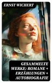 Gesammelte Werke: Romane + Erzählungen + Autobiografie (eBook, ePUB)