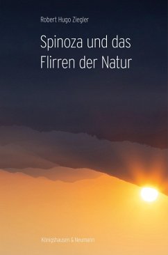 Spinoza und das Flirren der Natur (eBook, PDF) - Ziegler, Robert Hugo