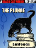 The Plunge (eBook, ePUB)