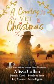 A Country Vet Christmas (eBook, ePUB)