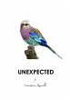 Unexpected (Encounters, #2) (eBook,... - Bild 1