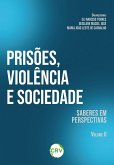 Prisões, violência e sociedade (eBook, ePUB)