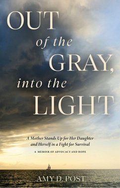 Out of the Gray, into the Light (eBook, ePUB) - Post, Amy