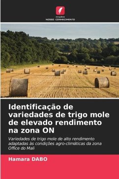 Identificação de variedades de trigo mole de elevado rendimento na zona ON - DABO, Hamara