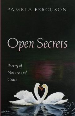 Open Secrets - Ferguson, Pamela