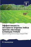 Jeffektiwnost' äxtrakta Urginea indica protiw listoeda Liriomyza Trifolii