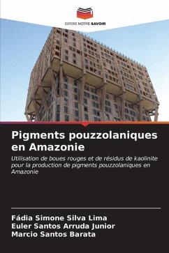 Pigments pouzzolaniques en Amazonie - Simone Silva Lima, Fádia;Santos Arruda Junior, Euler;Santos Barata, Marcio