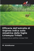 Efficacia dell'estratto di Urginea indica sulla minatrice delle foglie Liriomyza Trifolii