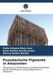 Puzzolanische Pigmente in Amazonien