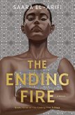 The Ending Fire (eBook, ePUB)