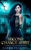 Second Chance Spirit (Haunted Ever After, #2) (eBook, ePUB)