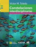 Constelaciones interdisciplinarias (eBook, ePUB)