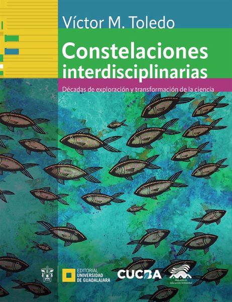 Constelaciones interdisciplinarias (eBook, ePUB) Constelaciones interdisciplinarias (eBook, ePUB)