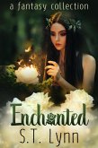 Enchanted: a fantasy collection (eBook, ePUB)