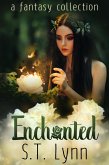 Enchanted: a fantasy collection (eBook, ePUB) Enchanted: a fantasy collection (eBook, ePUB)