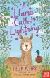A Llama Called Lightning (eBook, ePUB) - Bild 1