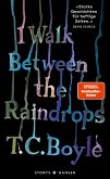 I walk between the Raindrops. Storys (eBook, ePUB)