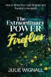 The Extraordinary Power of Fireflies - Bild 1