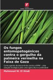 Os fungos entomopatogénicos contra o gorgulho da palmeira vermelha na Faixa de Gaza