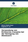 Verwendung von Eichhornia crasspies bei der Reinigung von Abwässern