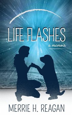 Life Flashes - Reagan, Merrie H.