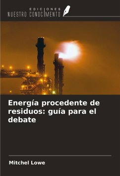 Cover Energía procedente de residuos: guía para el debate