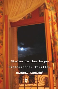 Cover Steine in den Augen