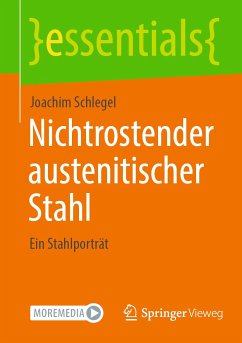 Nichtrostender austenitischer Stahl (eBook, PDF) - Schlegel, Joachim