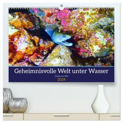 Geheimnisvolle Welt unter Wasser - Nachts am Riff (hochwertiger Premium Wandkalender 2024 DIN A2 quer), Kunstdruck in Hochglanz - Calvendo;Heß, Andrea